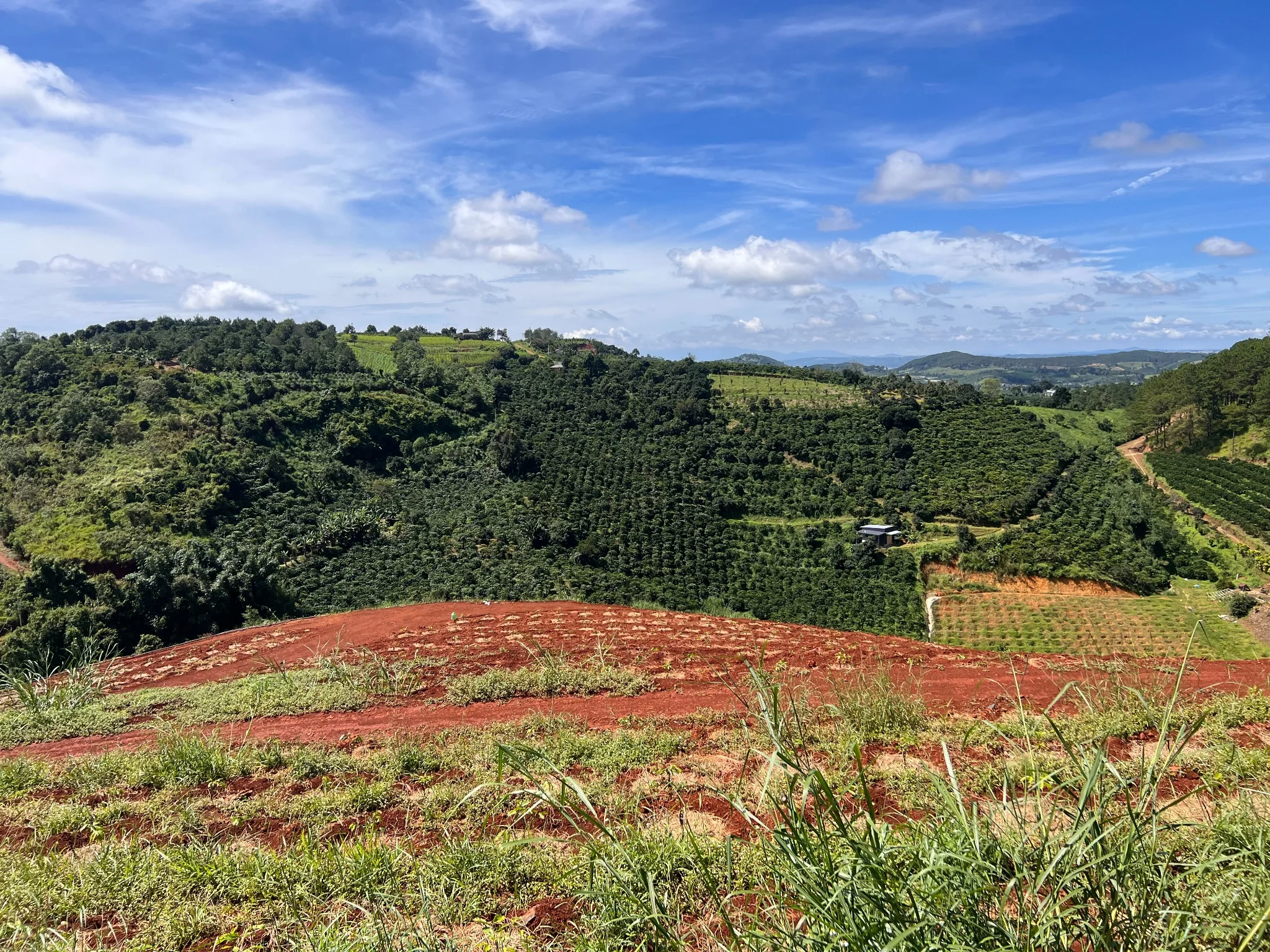 Những ngọn đồi trong khu farm
